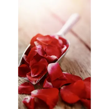 Natural Dry Rose Petals